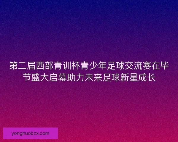 第二届西部青训杯青少年足球交流赛在毕节盛大启幕助力未来足球新星成长